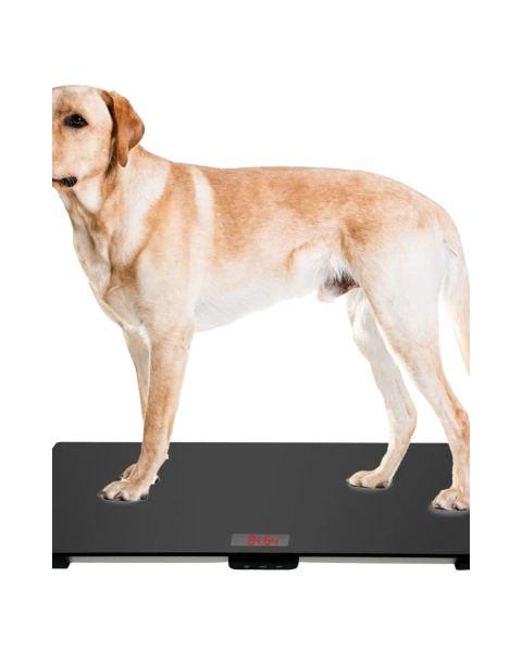 Dog Weighing Scale