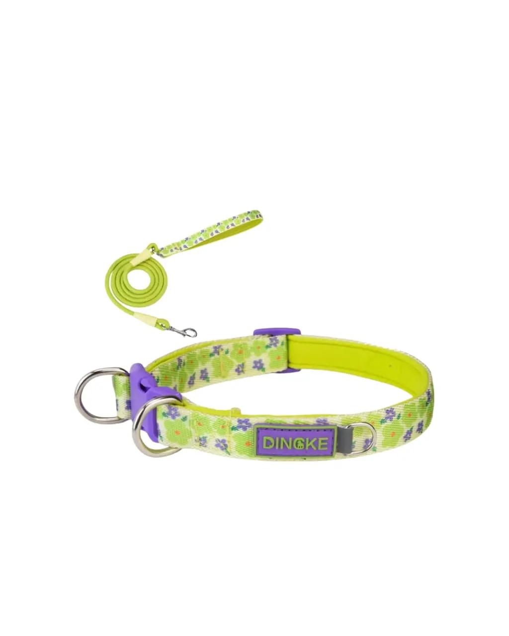 Lovely Pet Leash & Collar S
