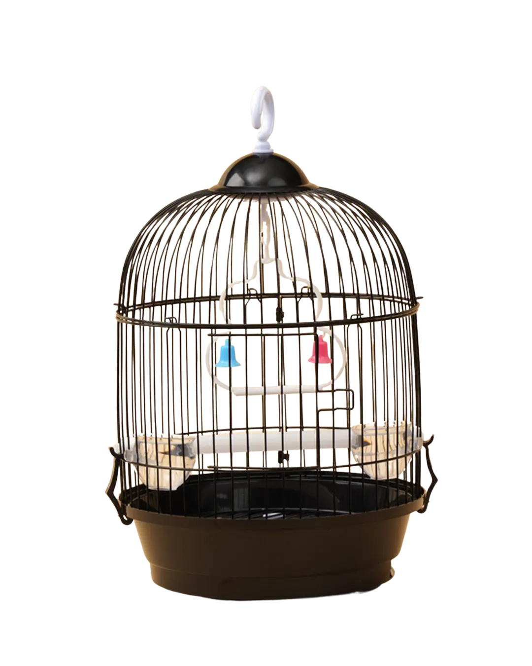 Bird Cage S