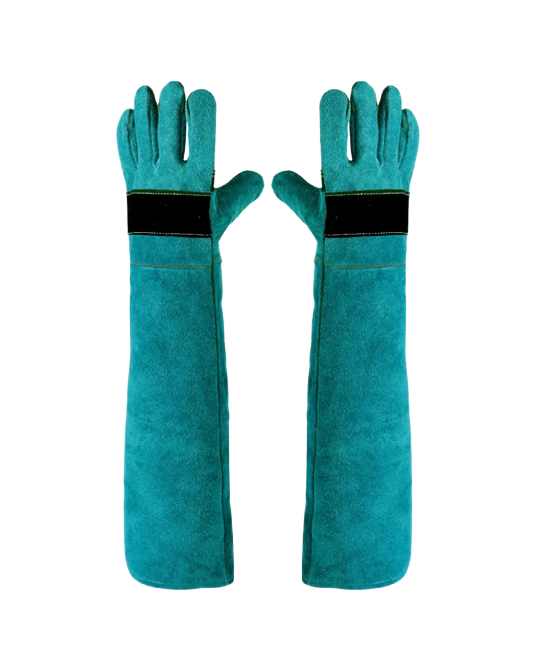 Cat Handling Glove L