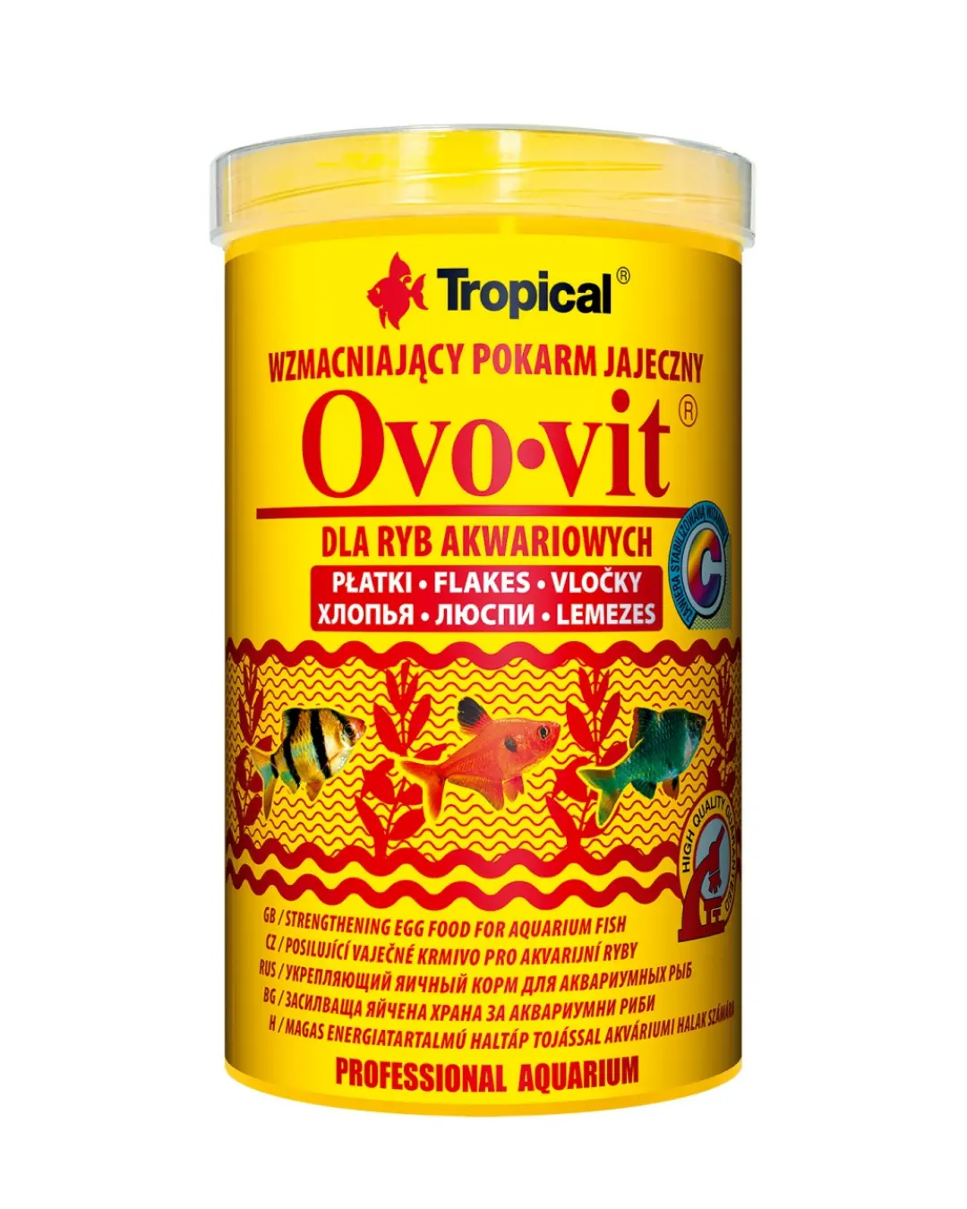 Tropical Ovo - Vit
