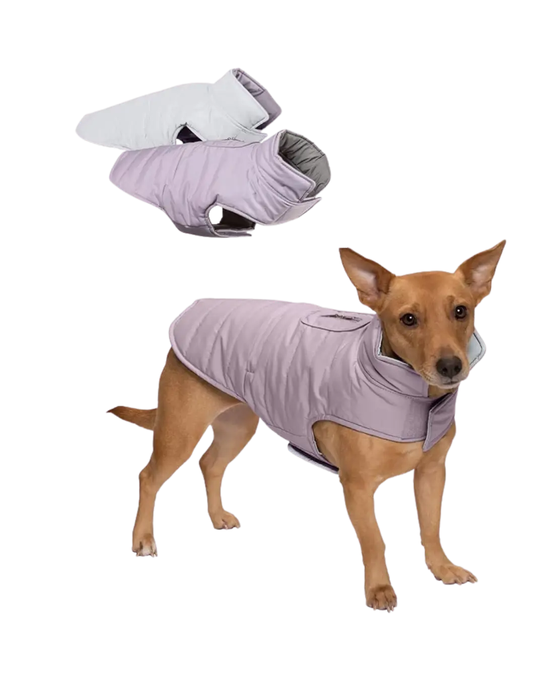Pet Immune Puffer Jacket