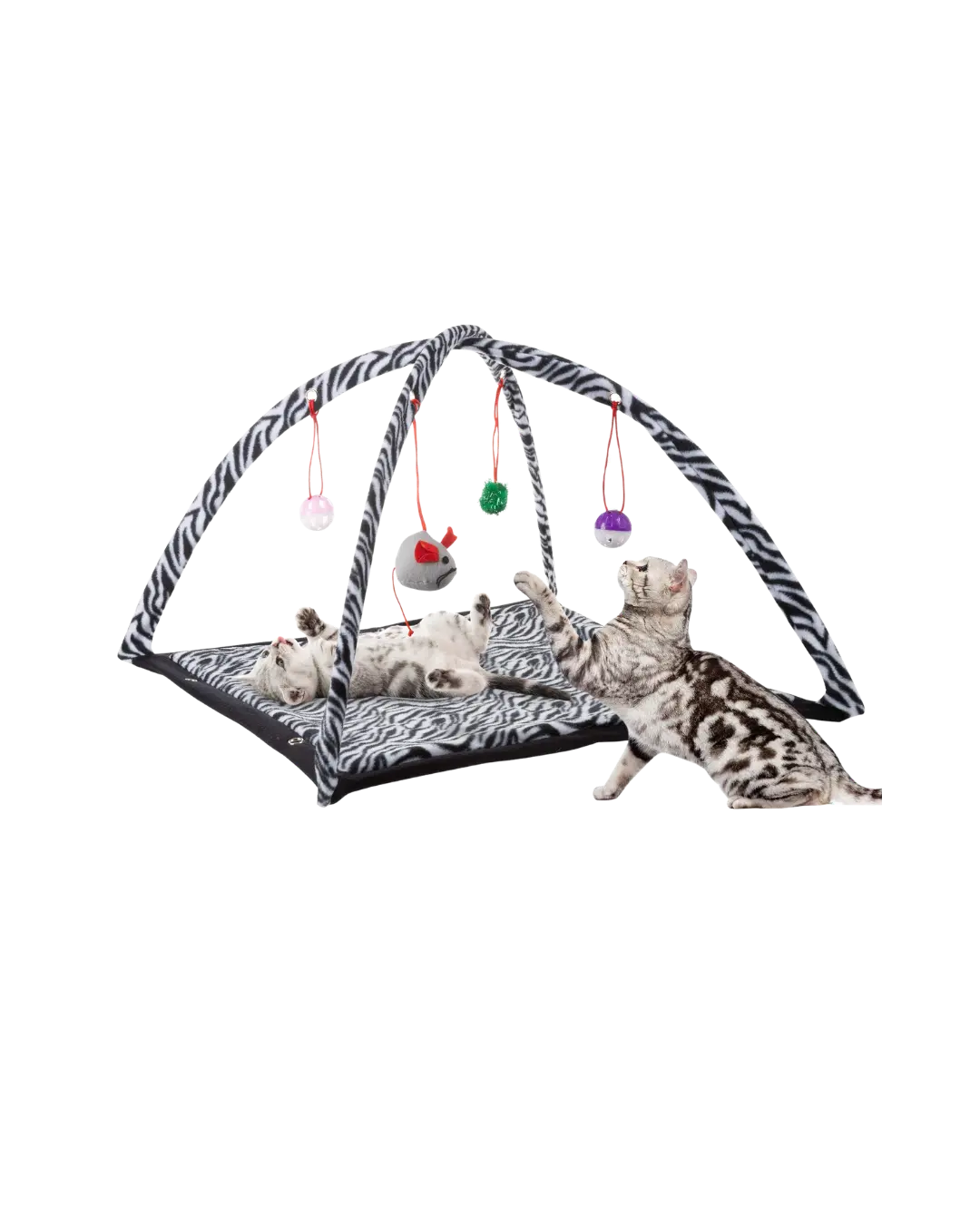 Cat Mat with hanging Toy