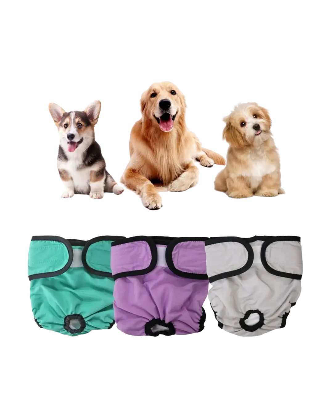 Female Pet Panties M,L,XL