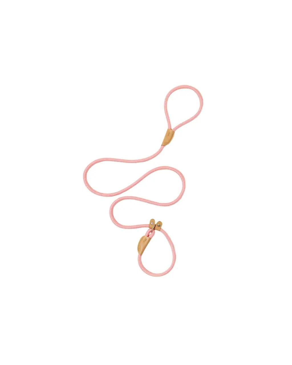 Hand Free Dog Leash And Collar S