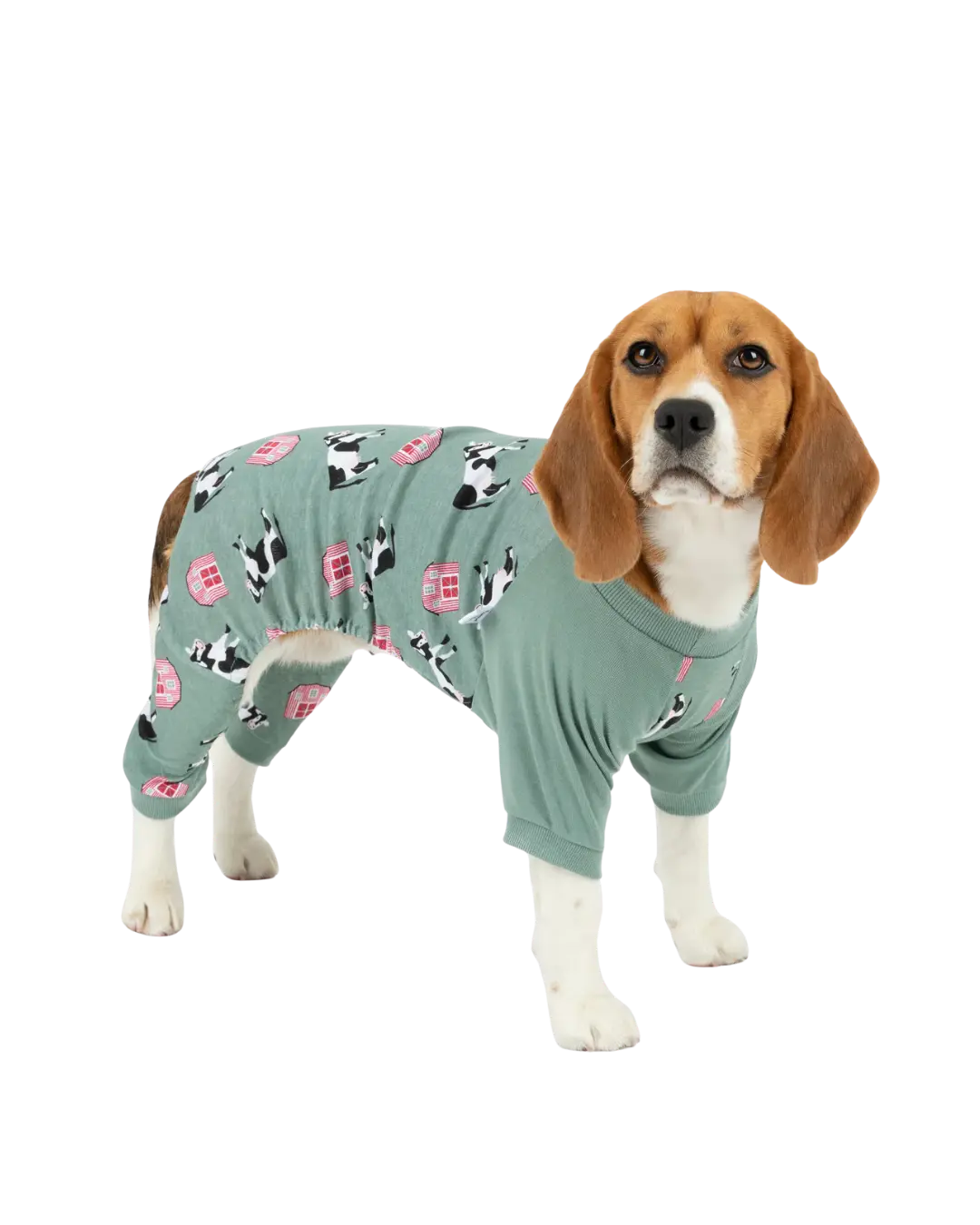 Dog Pajama