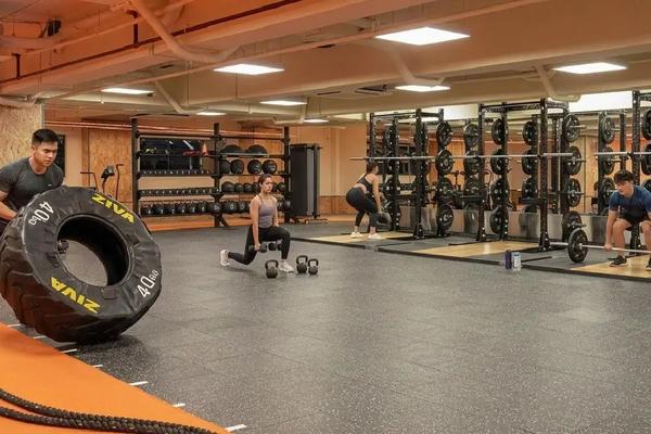 Beginner Gym Routine That Actually Works