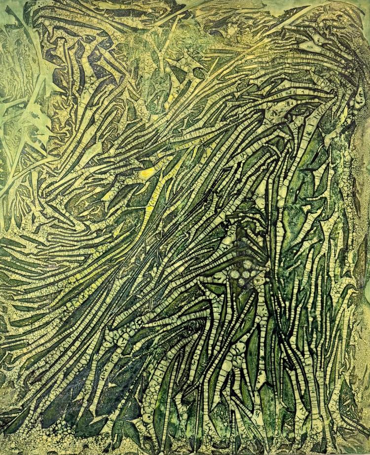 Understory