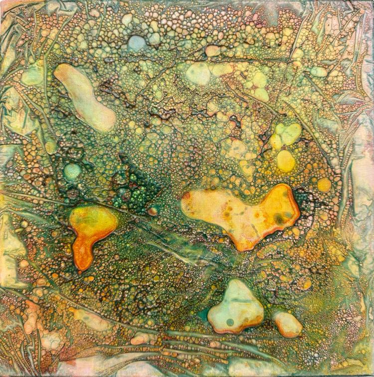 To see a World in a Grain of Sand