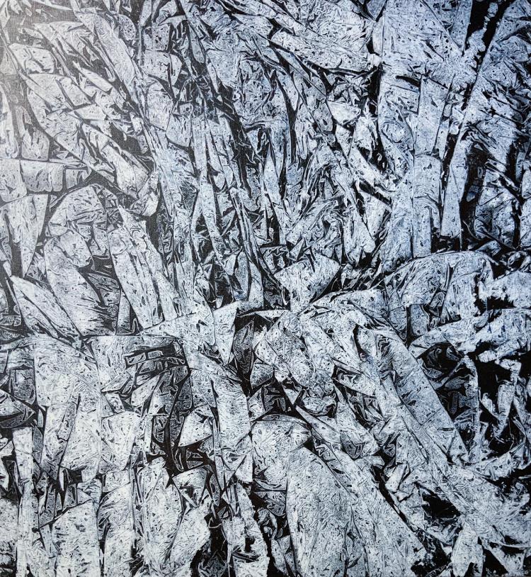 Winter series edition