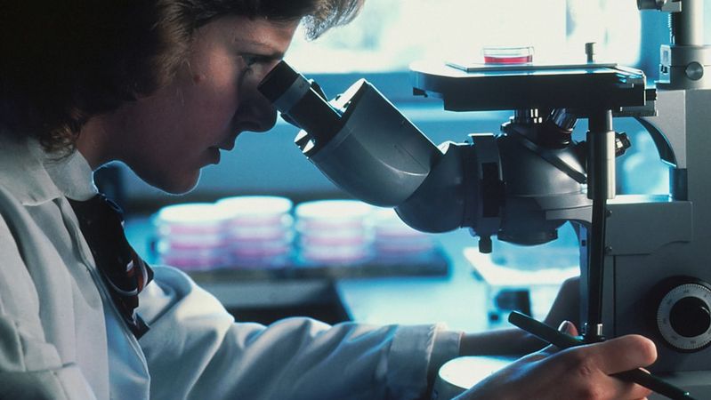 A scientist is using a microscope in a laboratory setting, focusing intently on her work. The background features petri dishes, indicating a biological or chemical research environment.