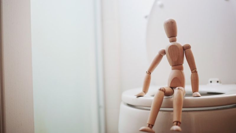 The image depicts a wooden mannequin seated on the rim of a toilet, with soft lighting and a simple bathroom backdrop. The setting suggests a light-hearted or whimsical take on everyday life.