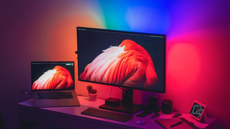 The image features a modern workspace with two screens displaying vibrant pink and orange hues. The setup includes a laptop and a larger monitor, illuminated by multicolored ambient lighting.