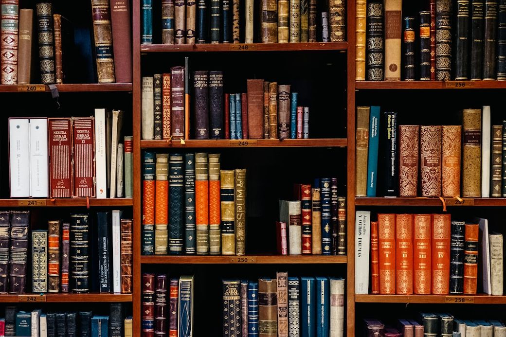 The image showcases a wooden bookshelf filled with various vintage and classic books. The spines display an array of colors and decorative designs, highlighting the rich heritage of printed literature. — Credit: Photo by Iñaki del Olmo on Unsplash