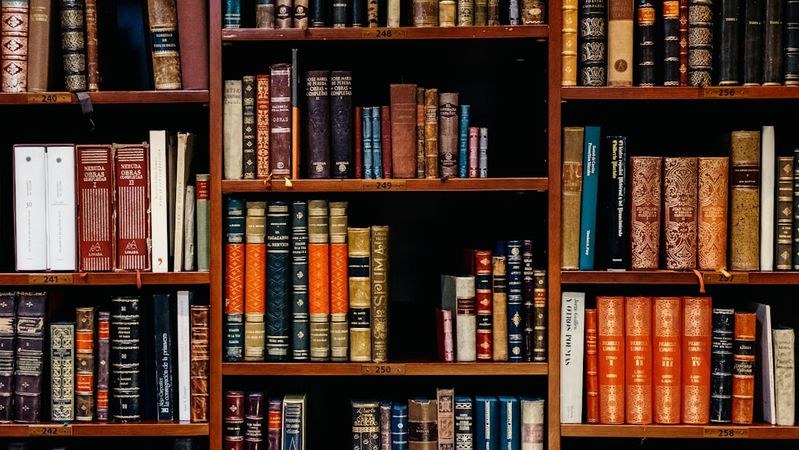 The image showcases a wooden bookshelf filled with various vintage and classic books. The spines display an array of colors and decorative designs, highlighting the rich heritage of printed literature.