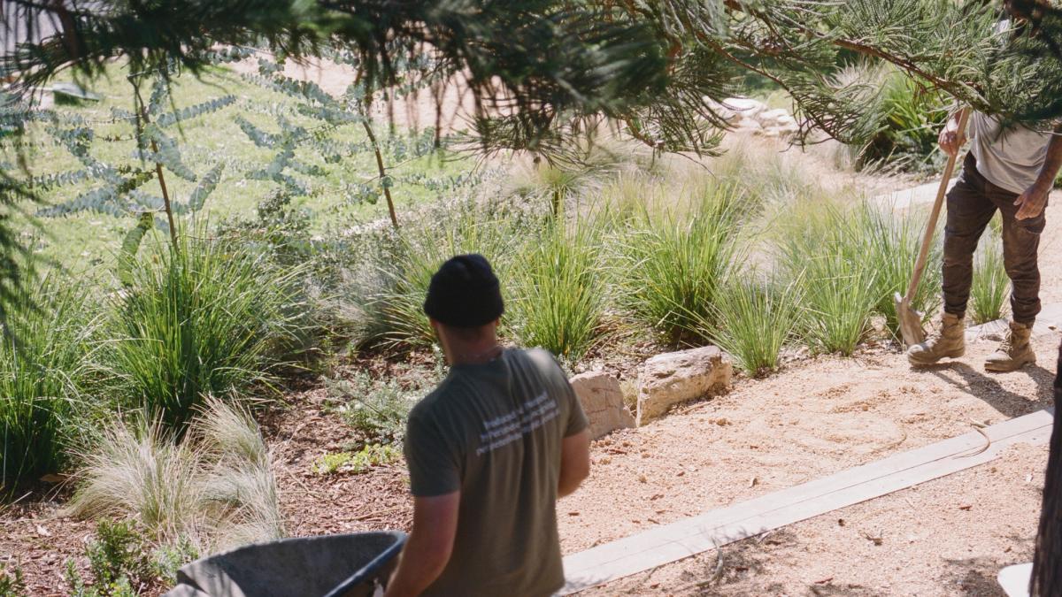 Perimeter Landscaping