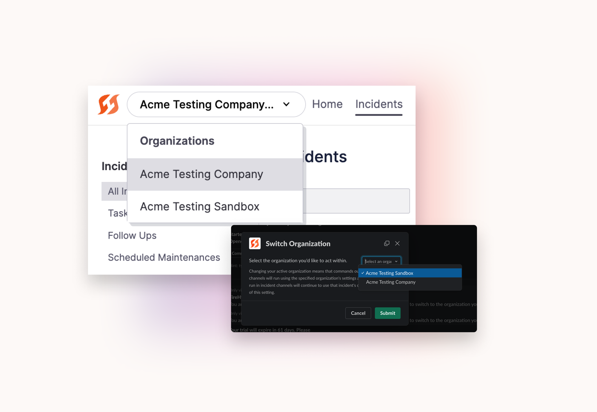 Introducing Multiple Organizations