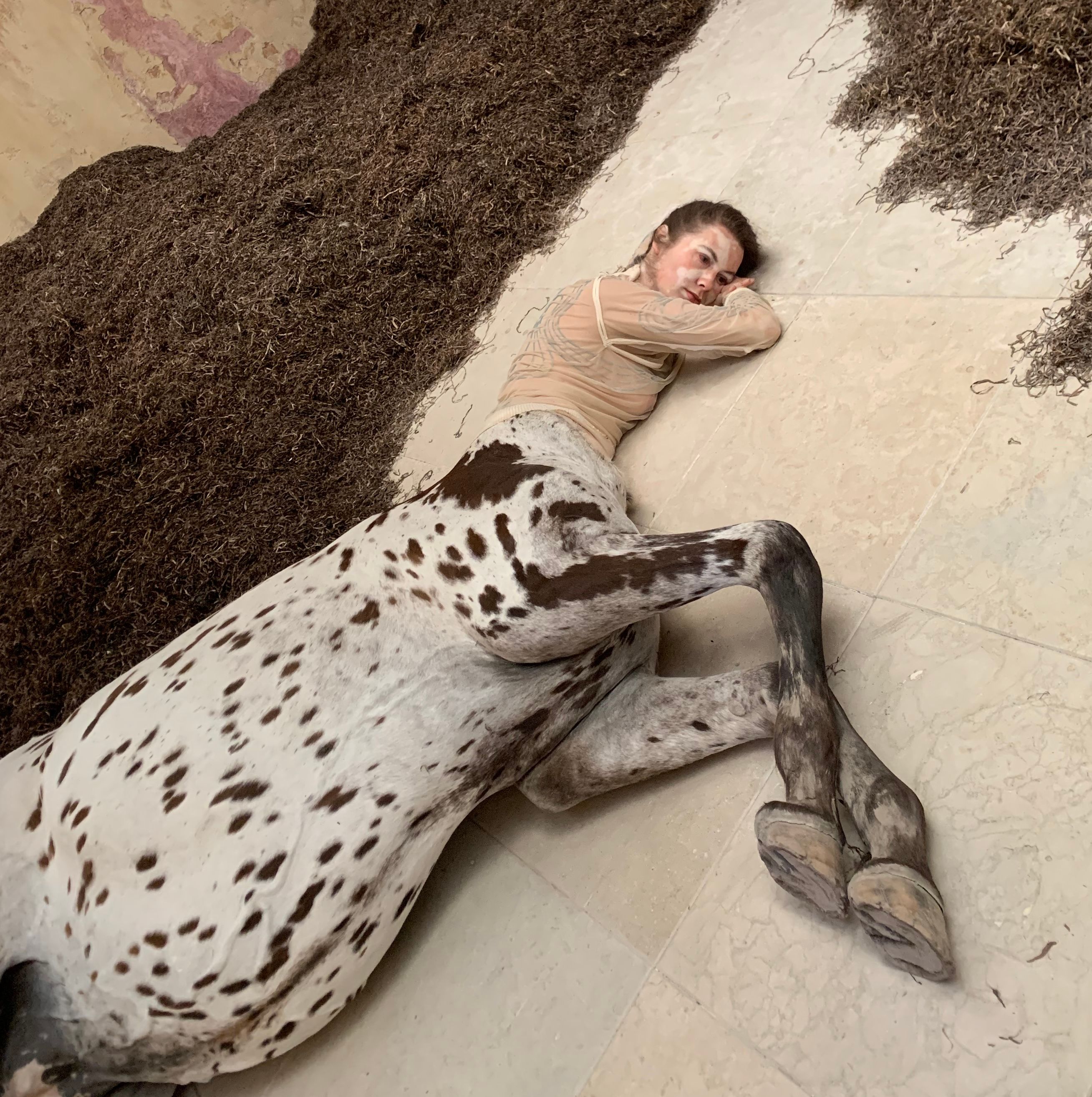 Detail of a lifelike dead female centaur with a spotted horse body lying on pale stone tiles