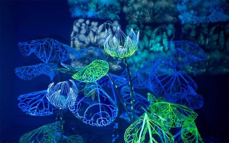 Andreea Medar’s Waterlilies, glowing wire lotus blooms and leaves in electric blue and green under ultraviolet light
