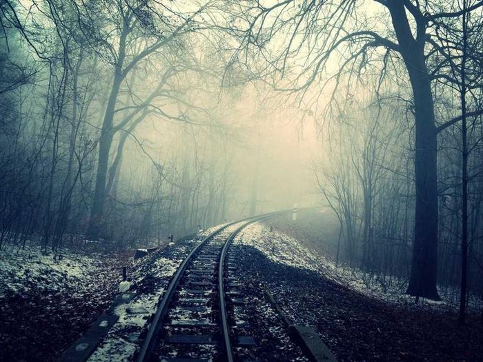 The turntable