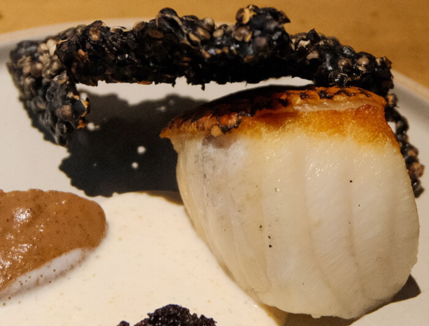 Seared Chilean sea bass with a golden crust under a dark seeded cracker, with cauliflower puree and XO oil