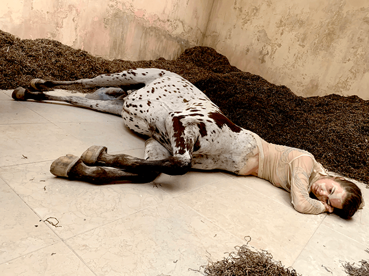 Hyperreal dead centaur with a spotted horse body sprawled on tiles beside mounds of dark seaweed