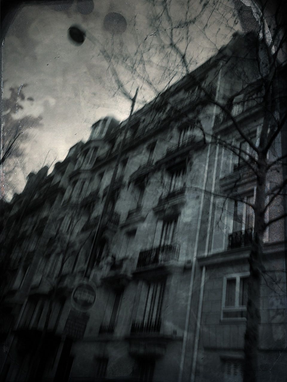Ghostly black and white view of a Haussmann apartment block looming behind bare branches under a pale sun