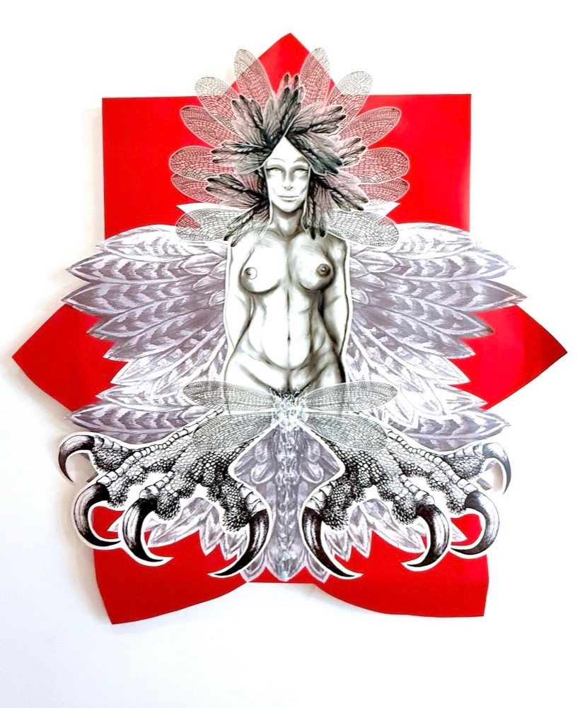 Sorceress by Katya Angara, an assemblage of a graphite nude figure crowned and winged with drawn feathers and dragonfly wings, taloned claws splayed below, mounted on red paper