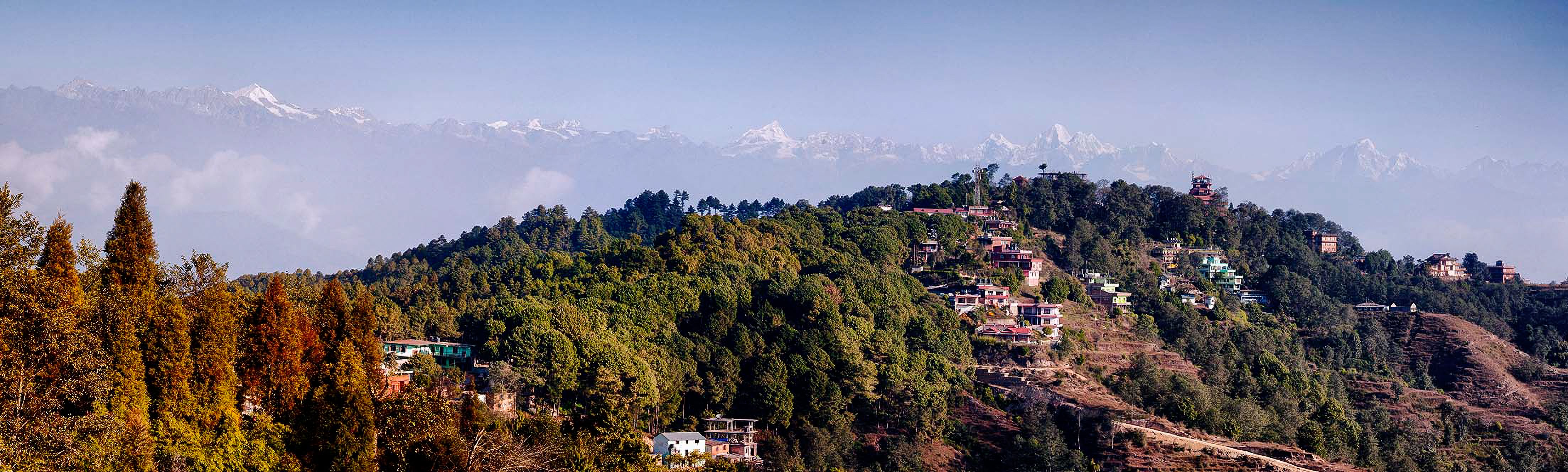 Snow-capped Himalayan peaks floating above haze behind a forested hillside village in morning light