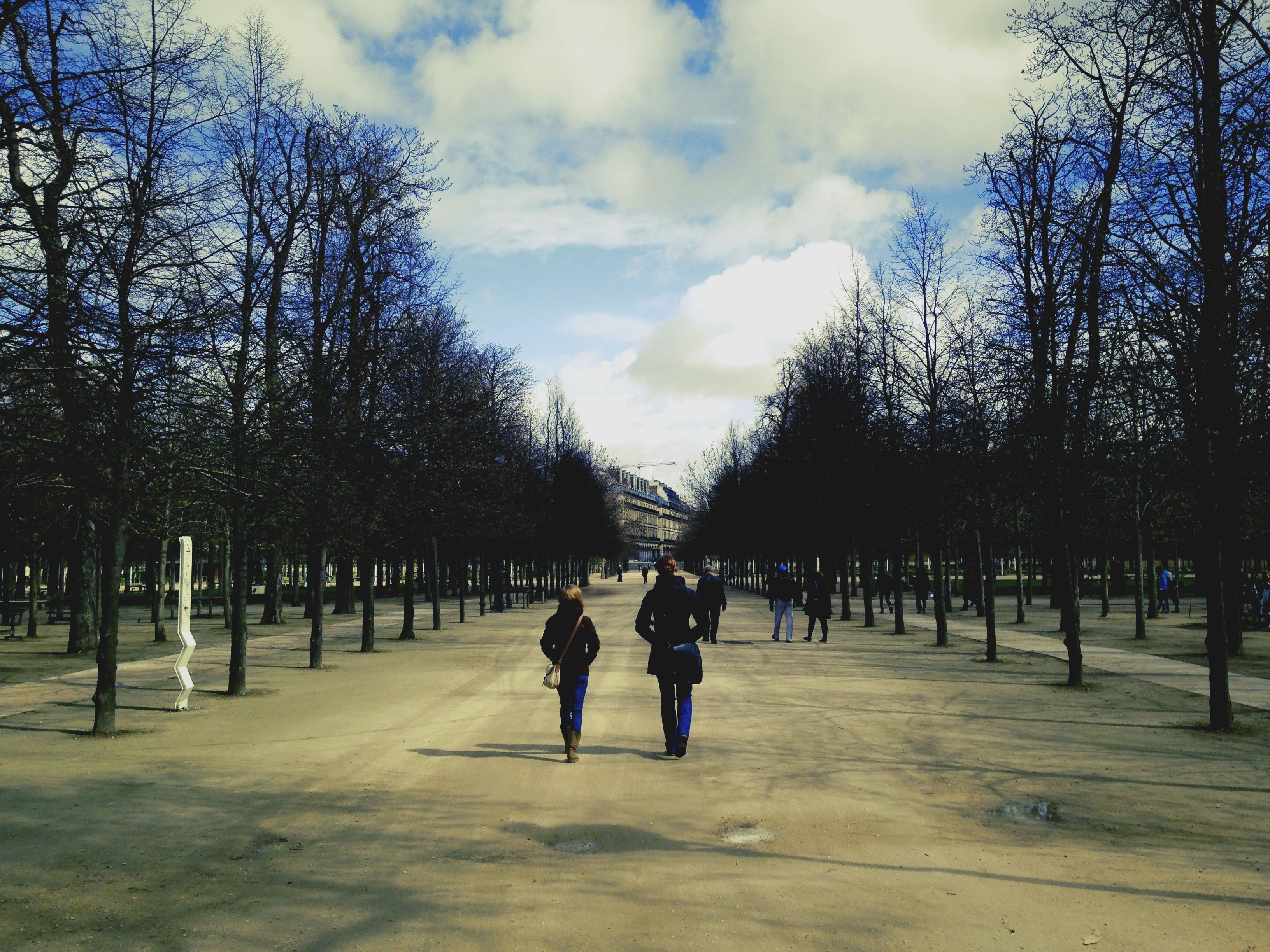 Two walkers on a broad gravel promenade between rows of bare trees in a Paris park
