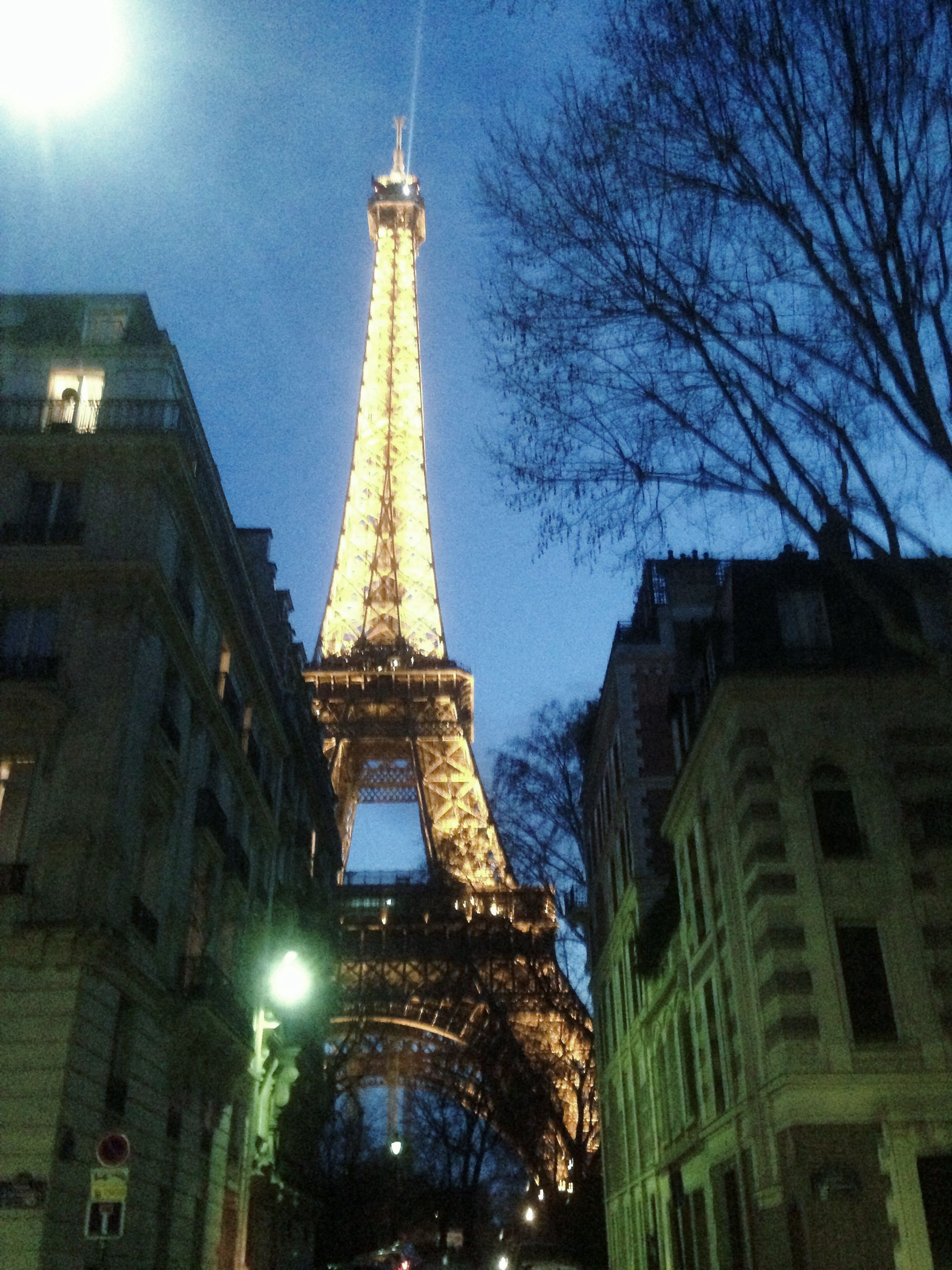 The Eiffel Tower lit golden at dusk, framed by apartment buildings and bare winter branches