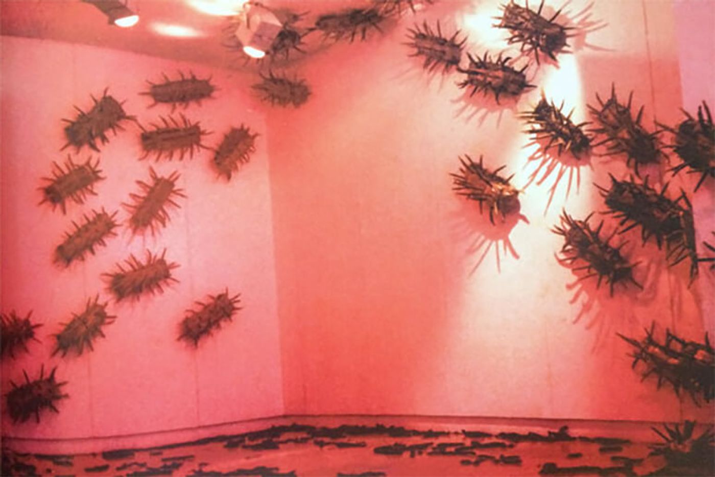Wood Things installation: spiky seed-pod forms scattered across the pink-lit walls of a gallery