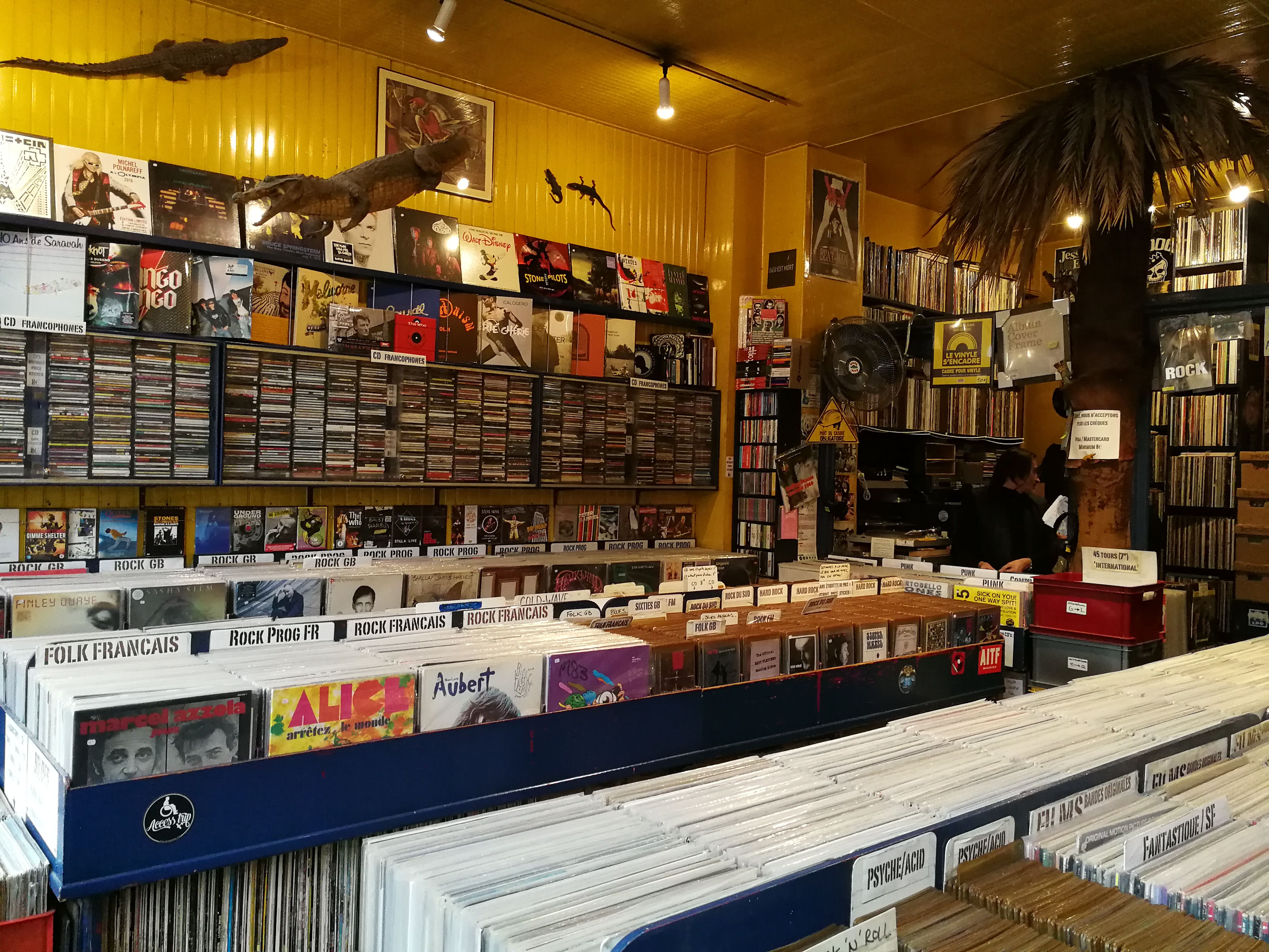 Yellow-walled record store with French-labeled bins, shelves of CDs and a mounted crocodile figure