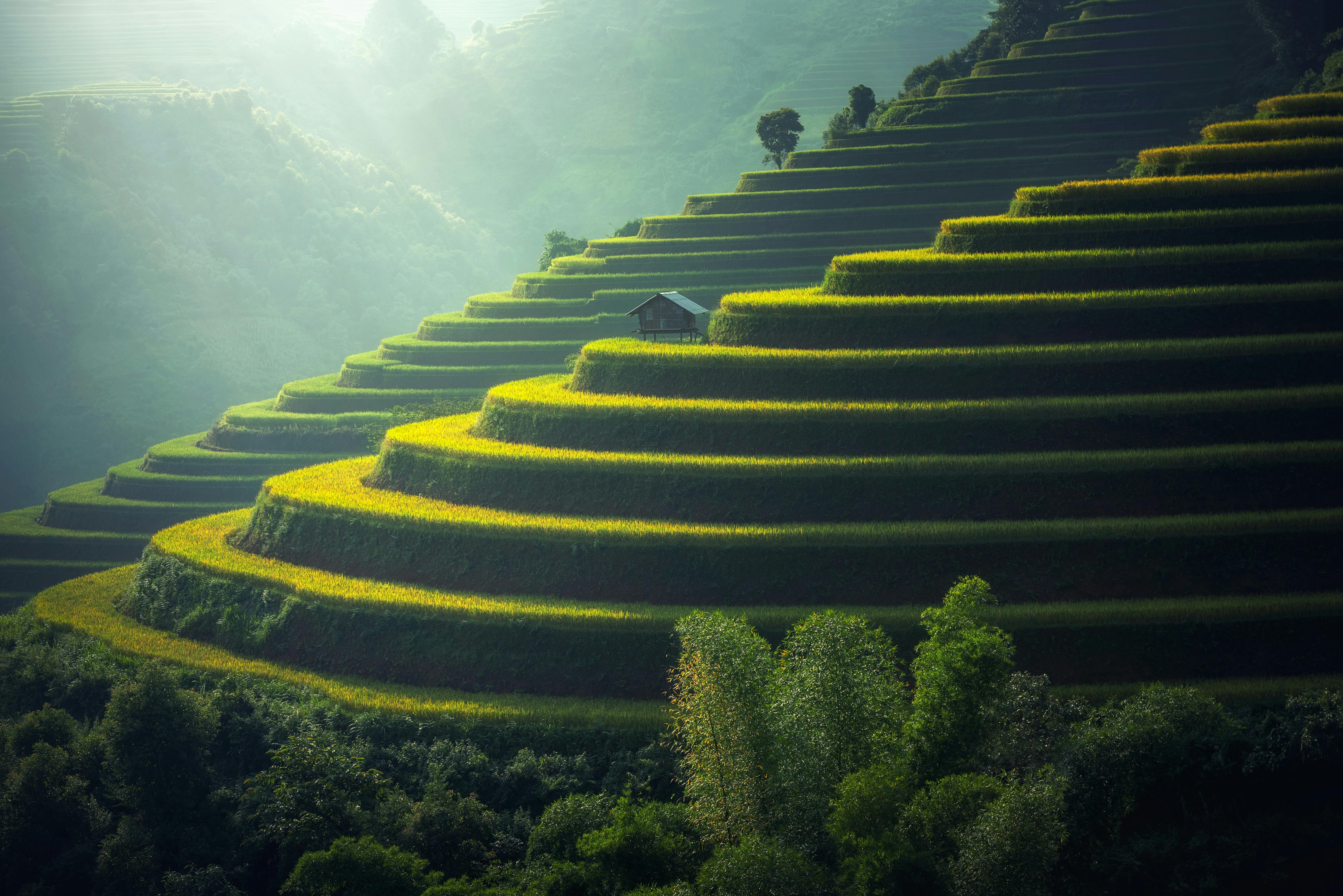 The Best Shopify SEO Tool: A Fantail Approach to Organic Growth
