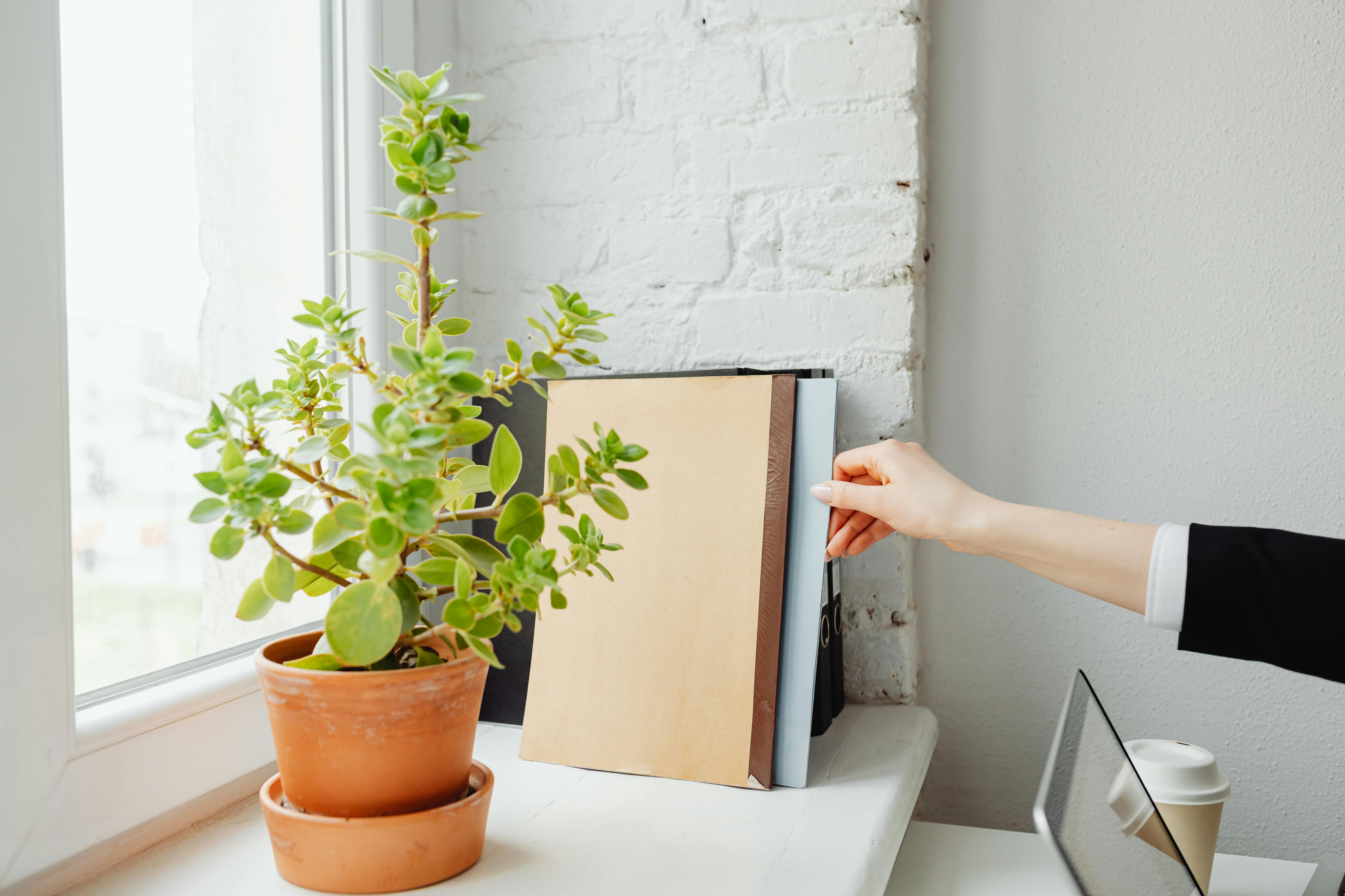 Shopify Blogging for Beginners: A Simple Guide to Getting Started