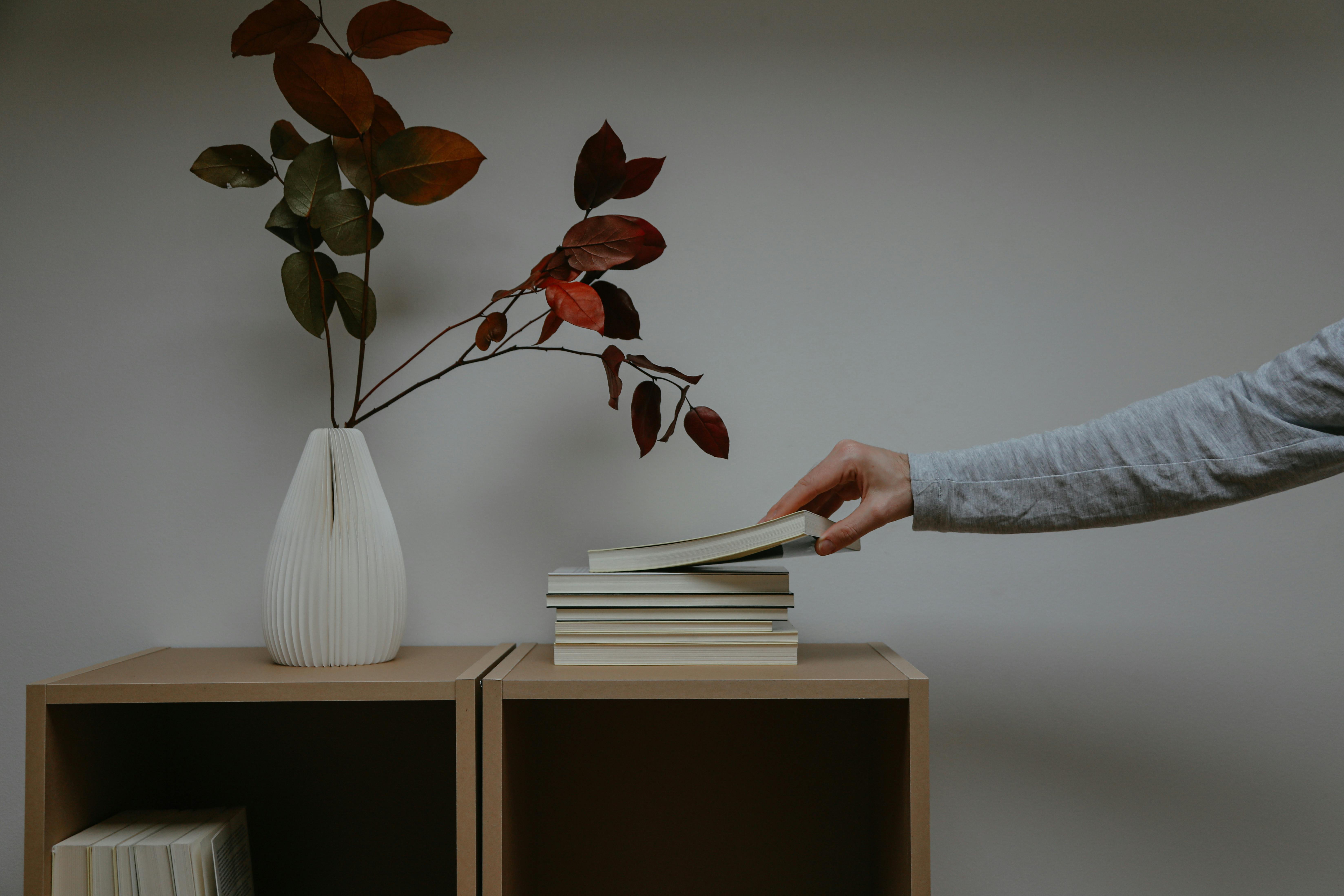 Shopify Blogging for Beginners: A Simple Guide to Getting Started