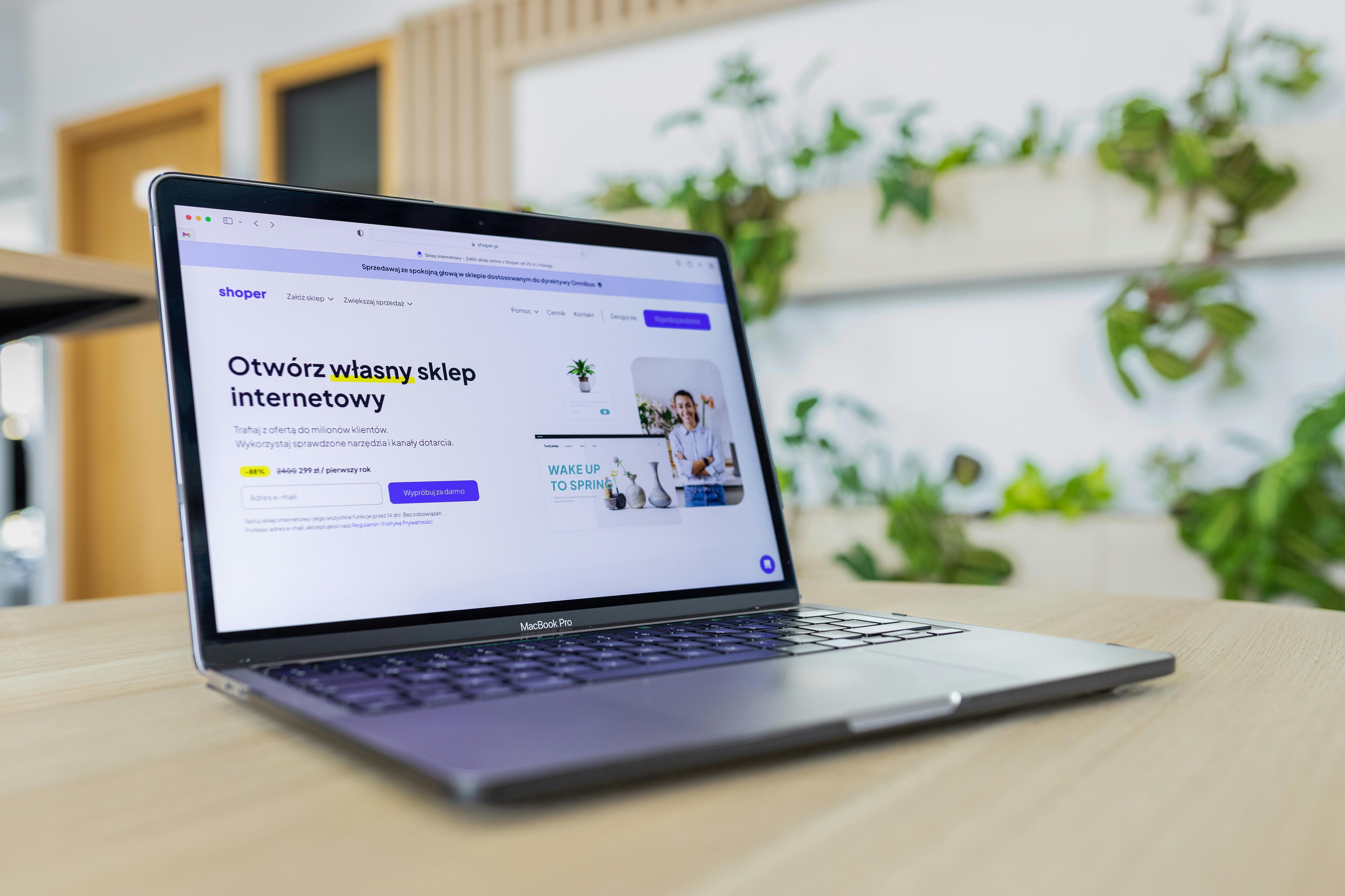Shopify SEO Tools: Assessing Fantail for E-commerce Growth