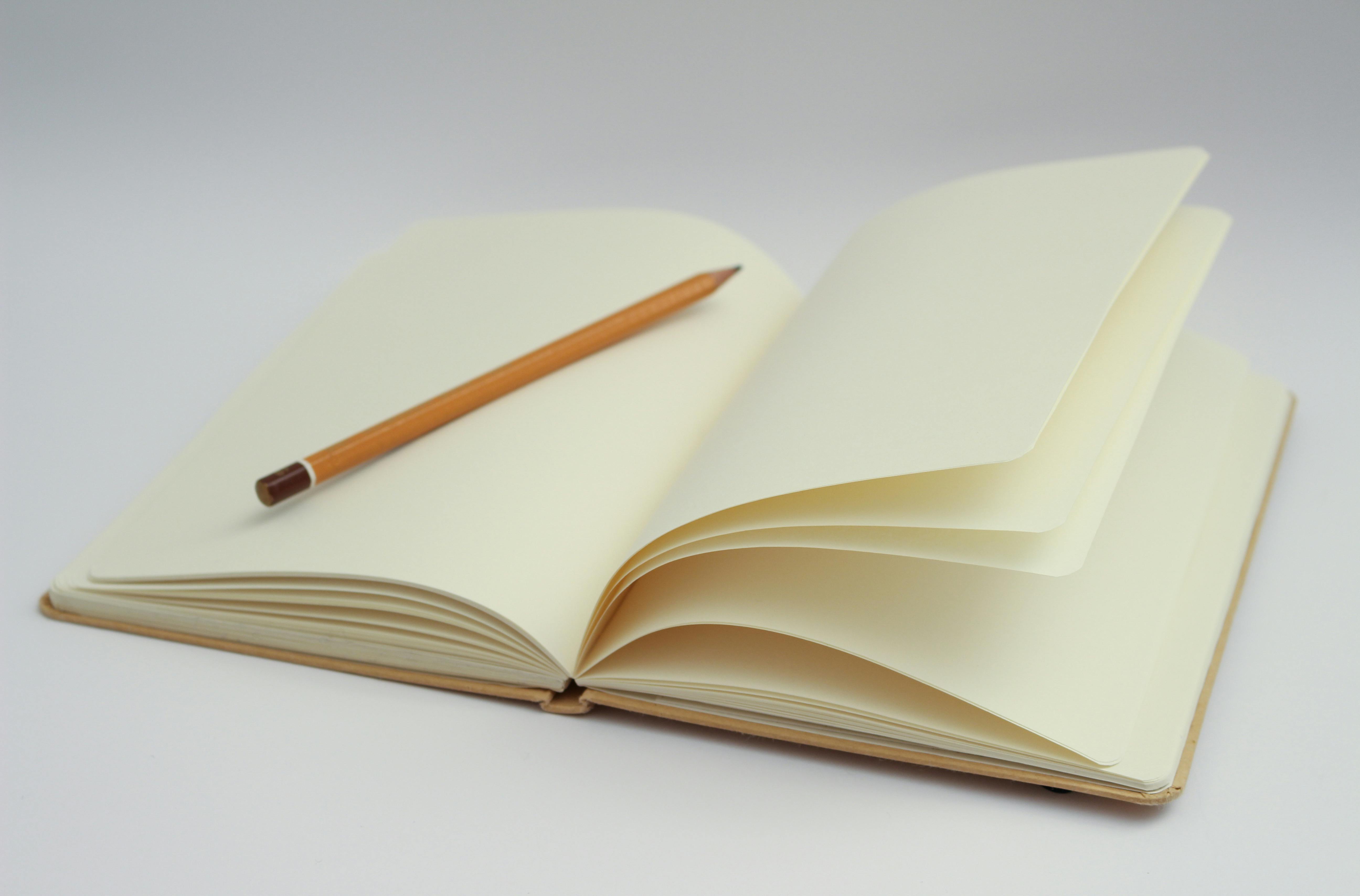 How to Start a Blog on Your Shopify Store: A Simple Guide for Beginners