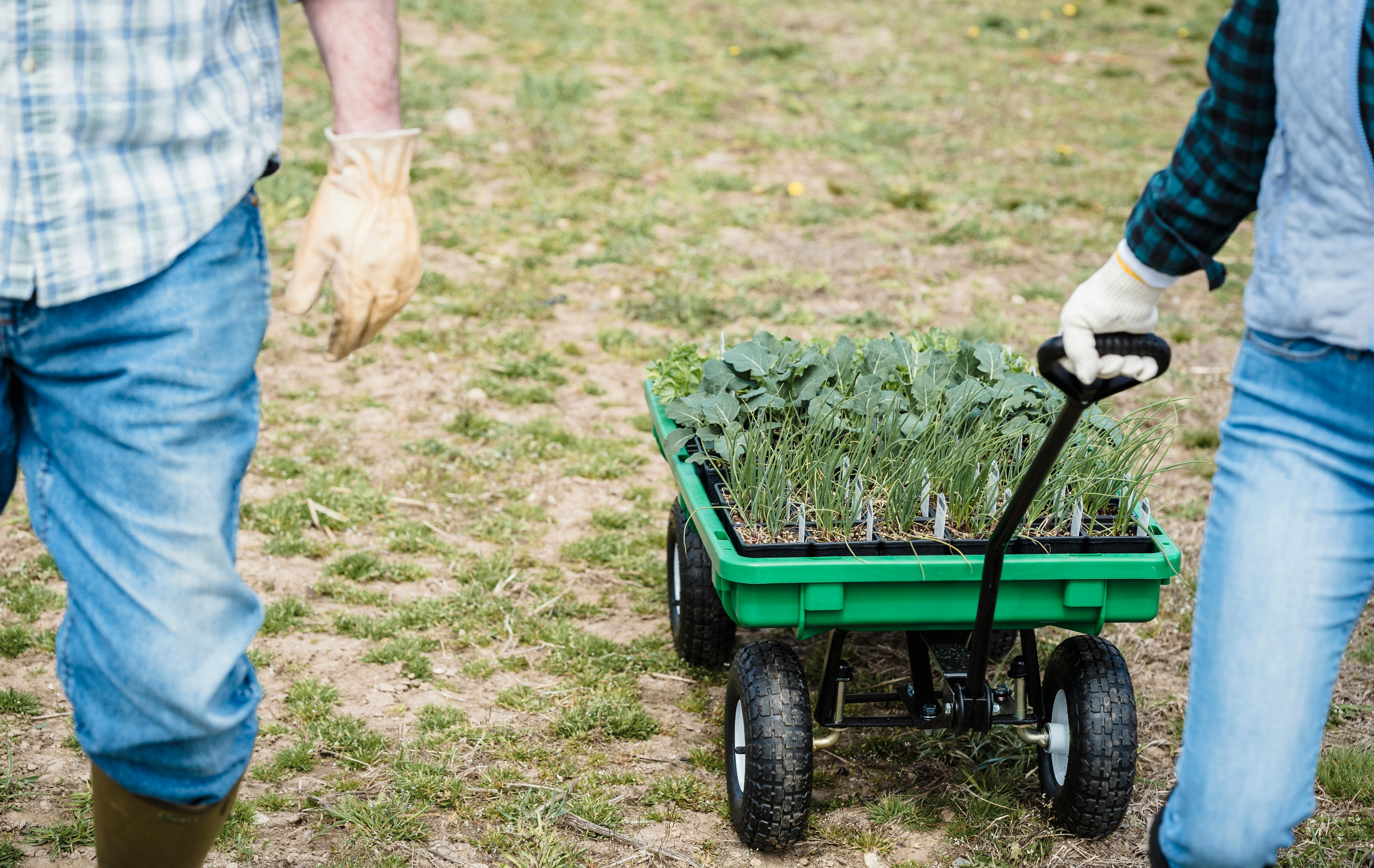 How to Get Customers With No Marketing: Leveraging Fantail Tools for Organic Growth