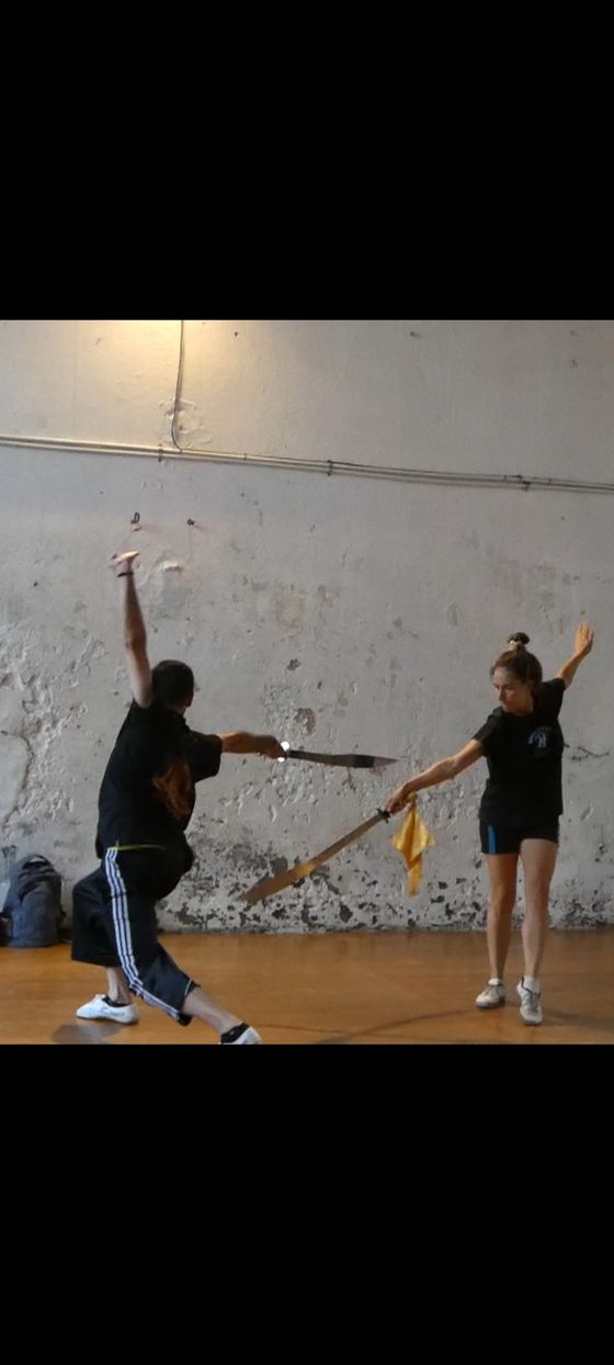 documentación 3 de 6 · WUSHU KUNG FU INNER WARRIOR LAB