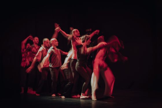 Ciclo A Butoh Pelao. Jueves de danza en bruto