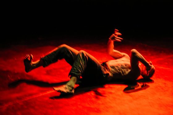 documentación 11 de 11 · A BUTOH PELAO. JUEVES DE DANZA EN BRUTO