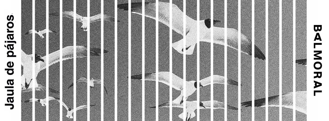 cartel de JAULA DE PÁJAROS — Compañía Balmoral