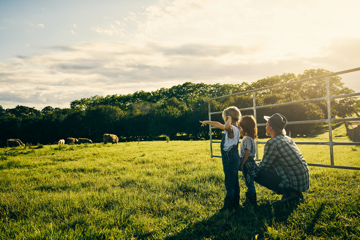 Farmer with two children looking at cows in a field