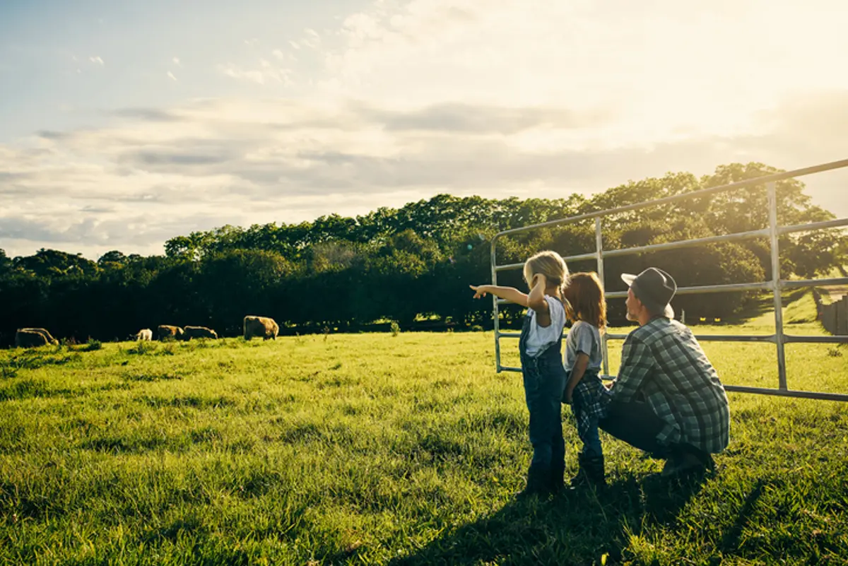 Farmer with two children looking at cows in a field