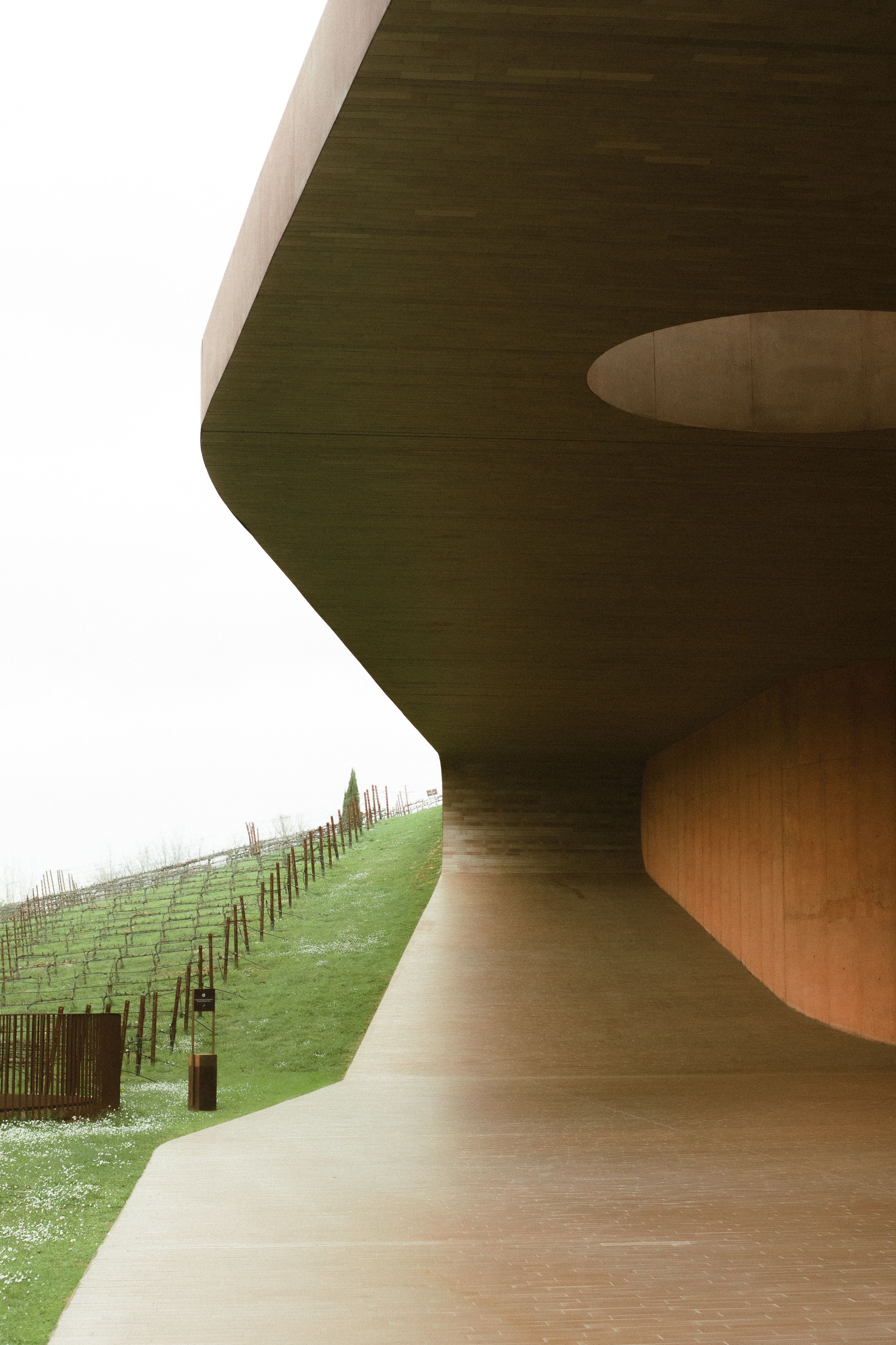 A Visit to Antinori