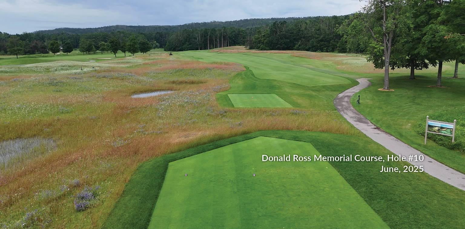 Ross 10 Sign and Tee Boxes