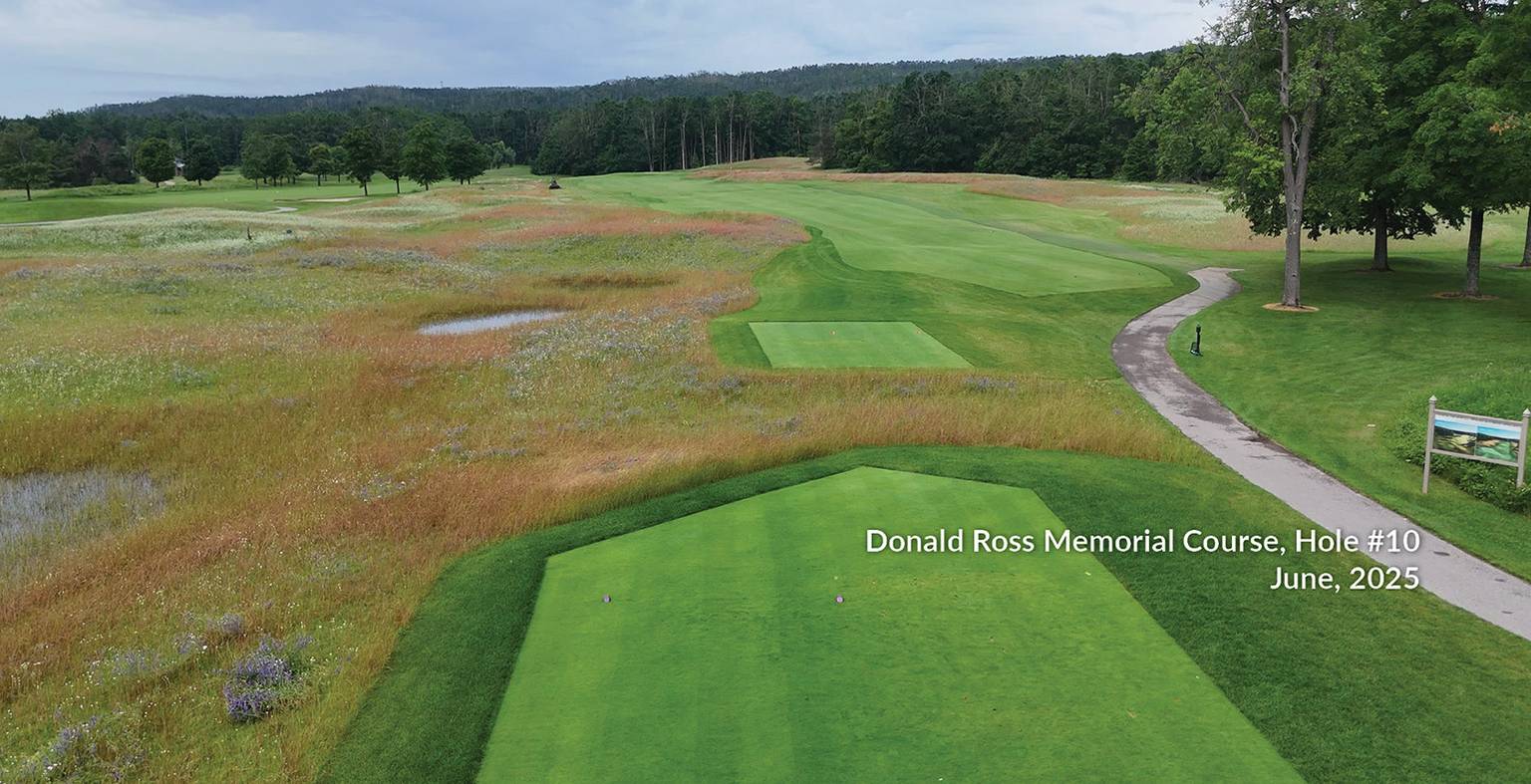 Ross 10 Sign and Tee Boxes
