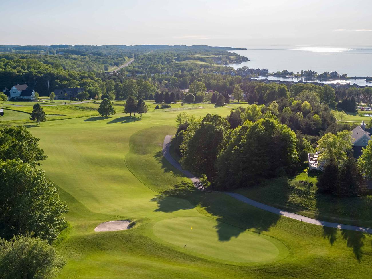 Crooked Tree 17