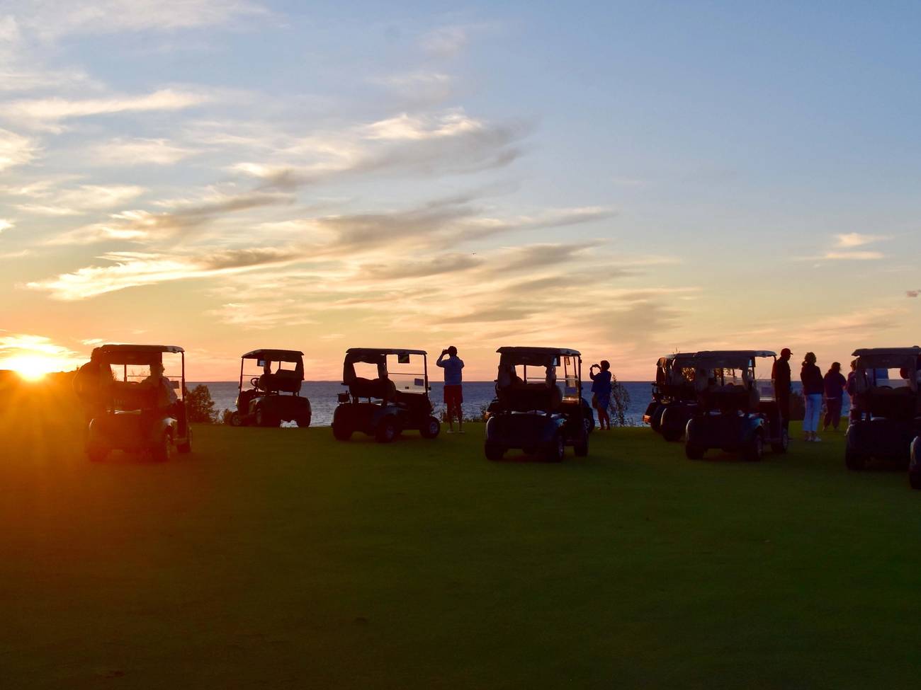 Group of carts